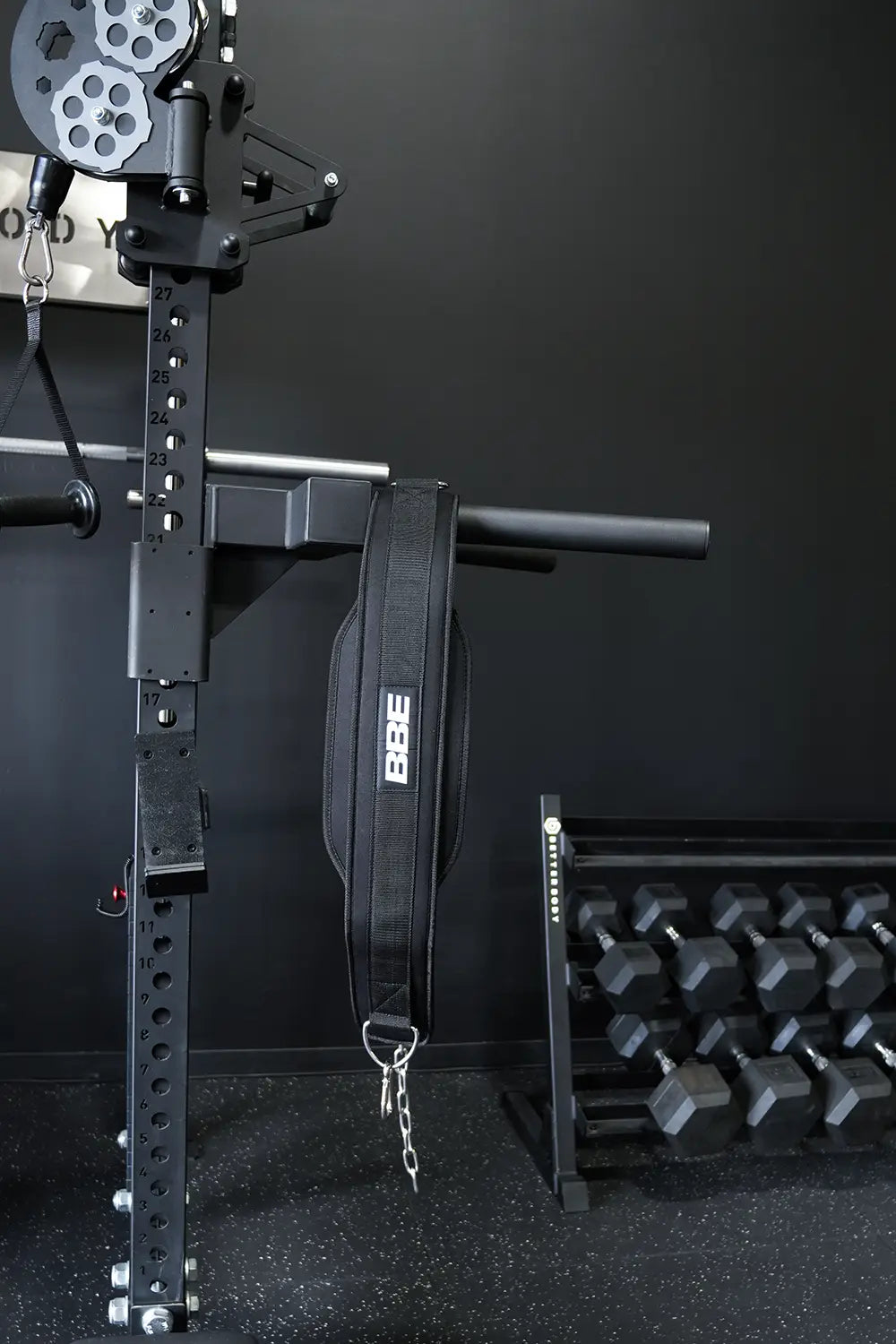 Dip Belt