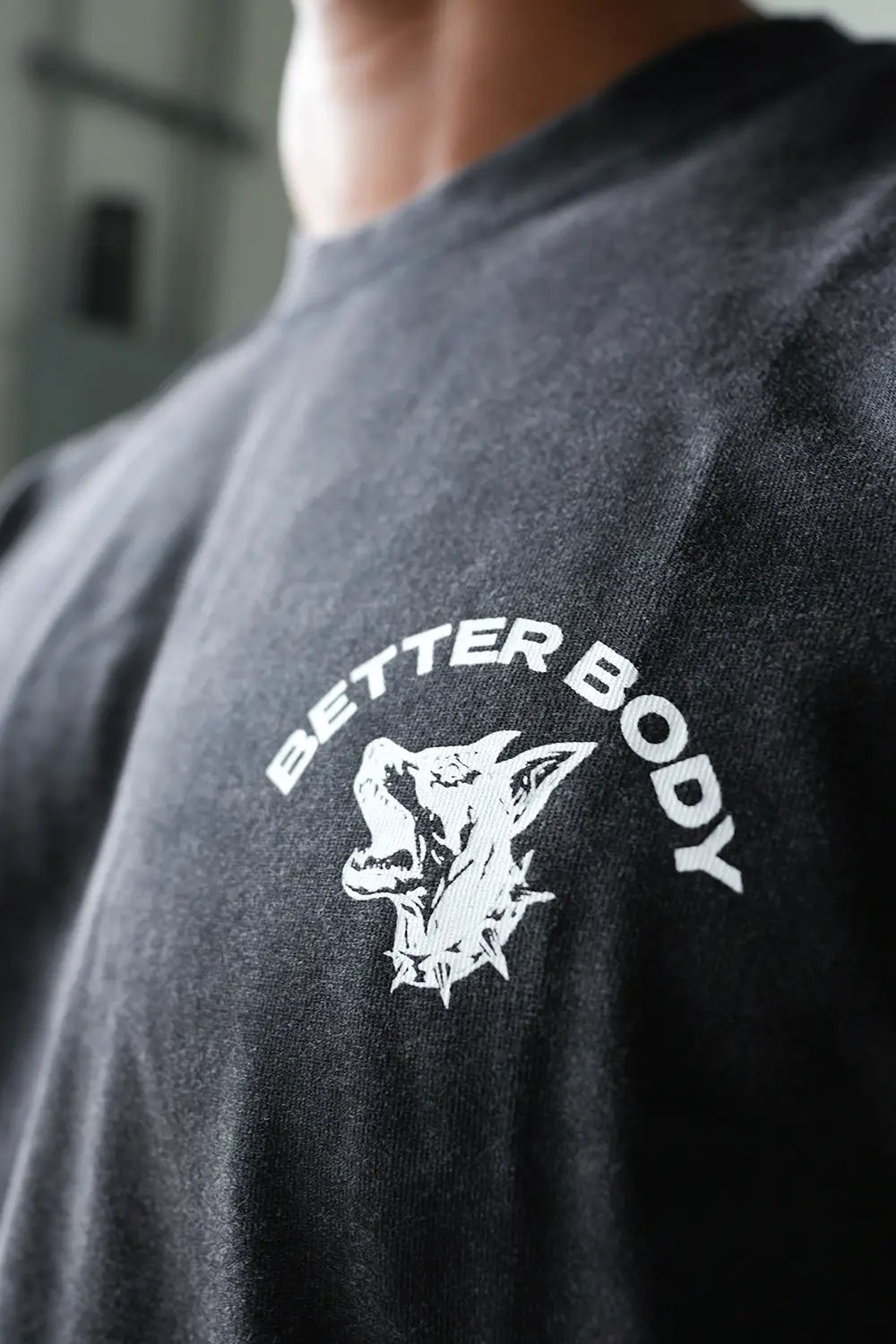Better Body Doberman