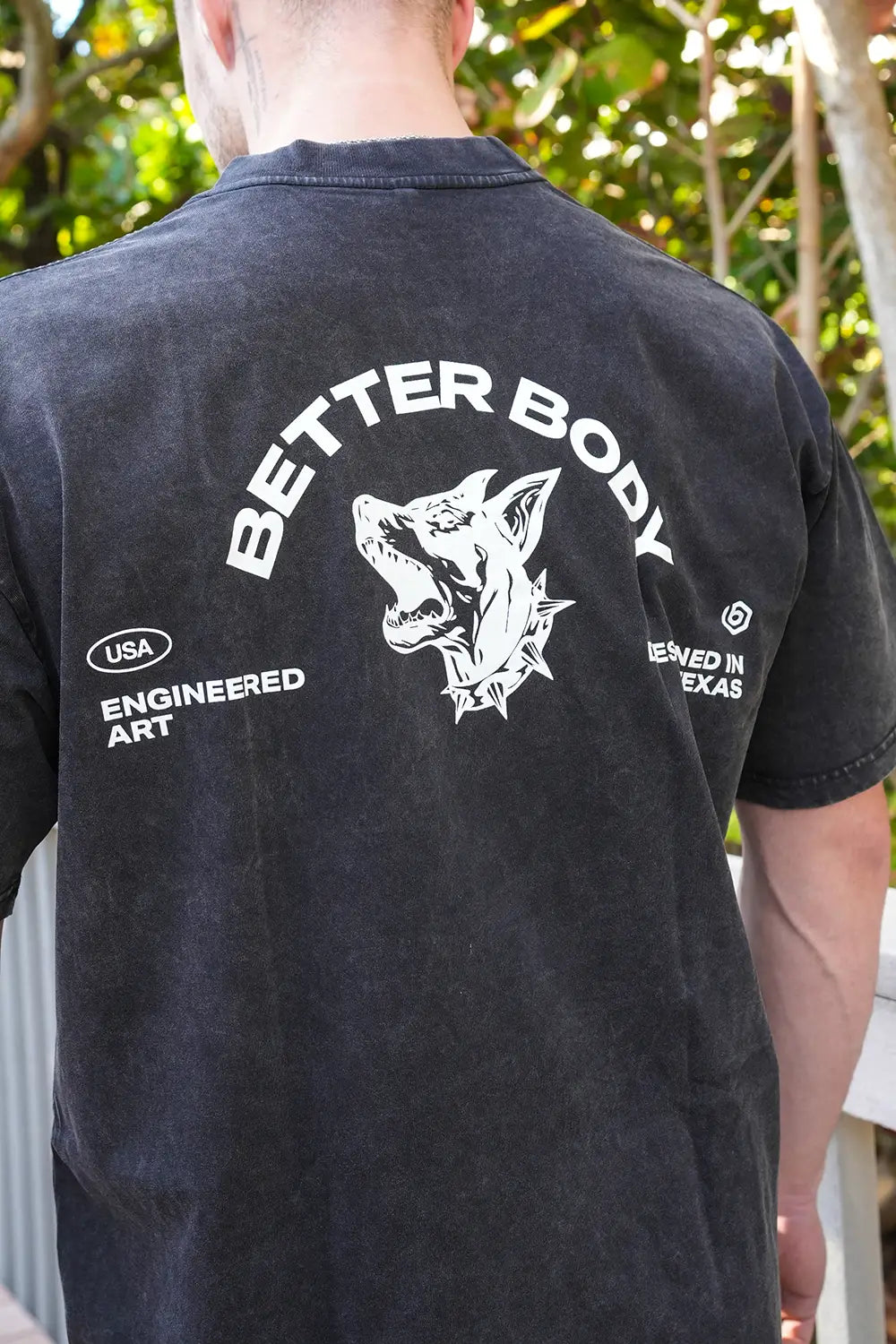 Better Body Doberman