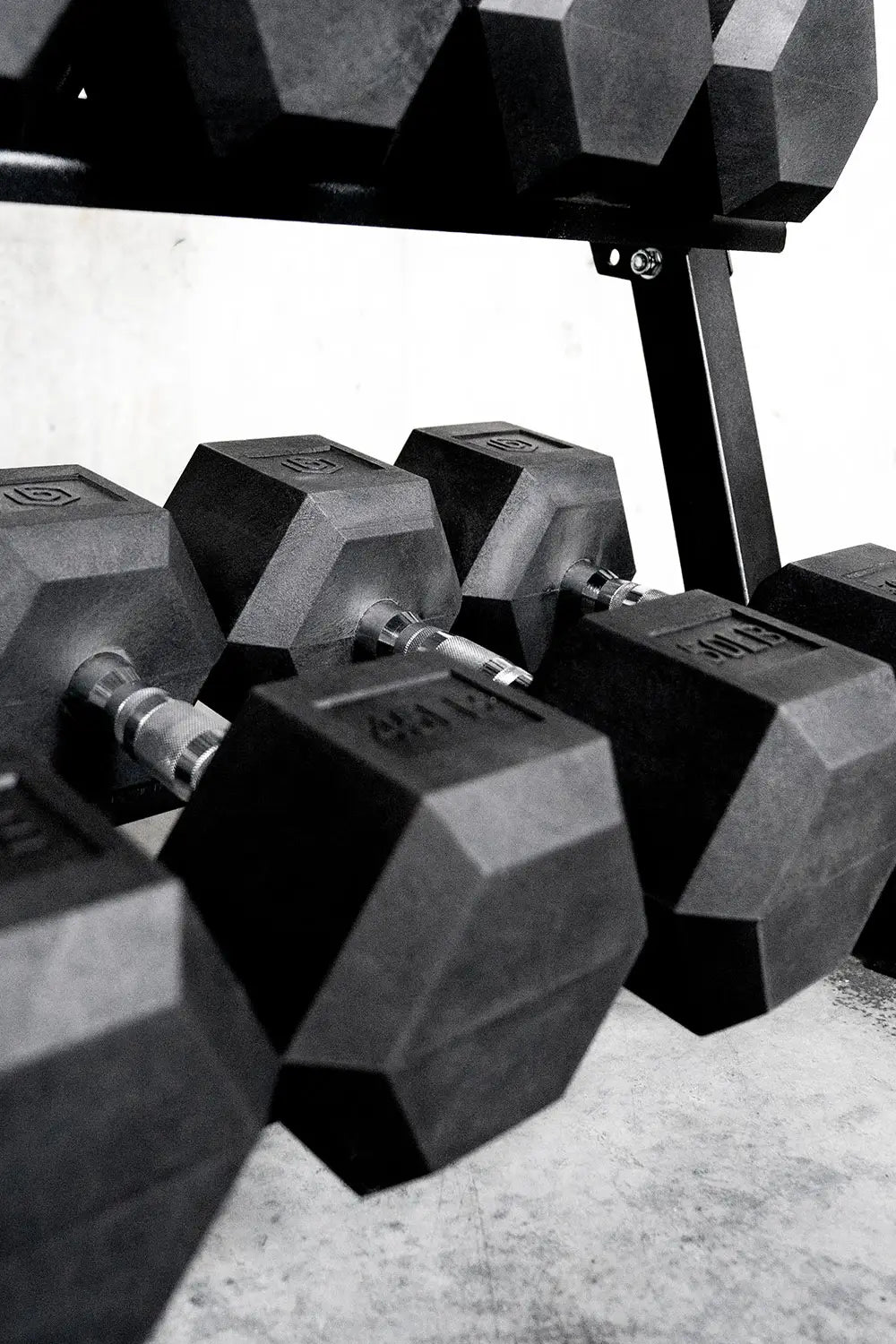 Complete Gym Bundle