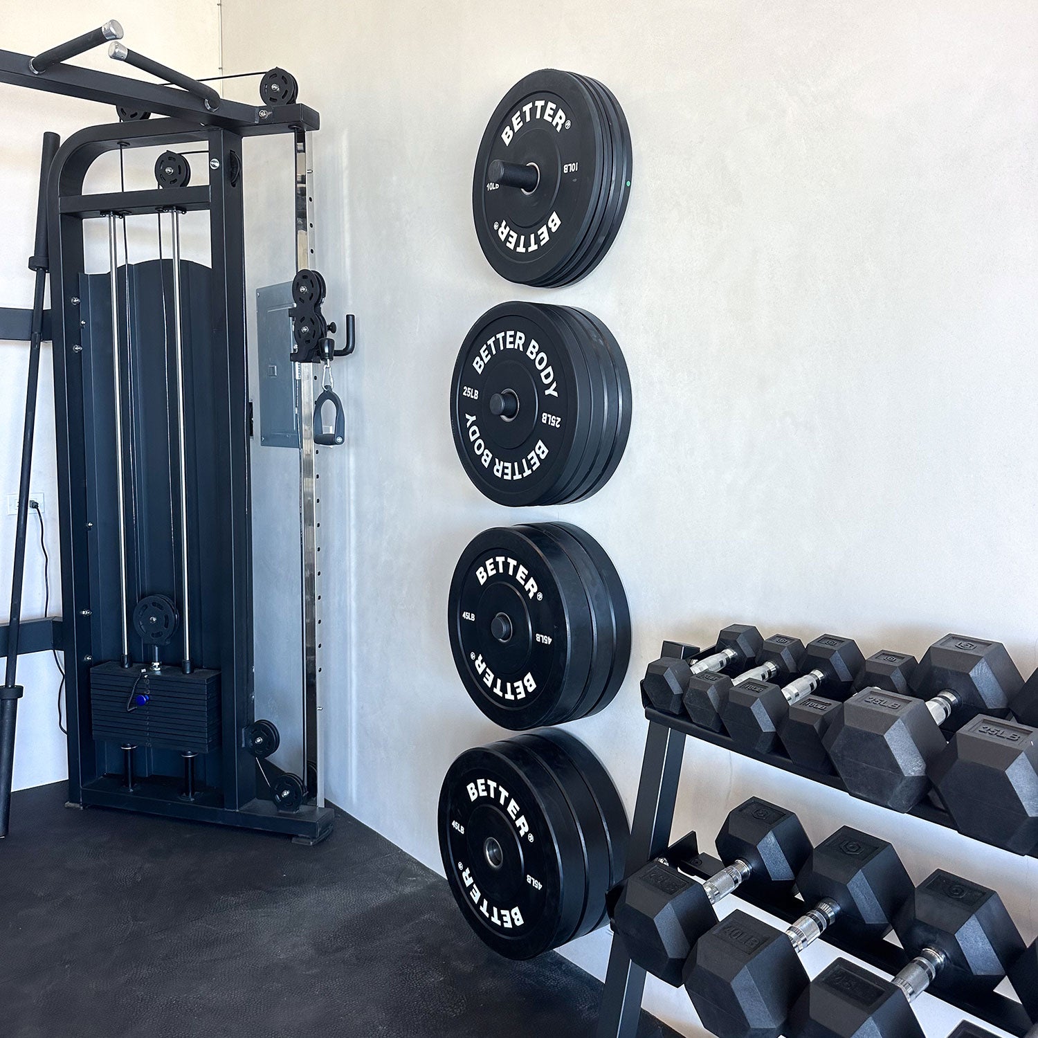 Wall Mounted Plate Storage, Single Double - Main Image