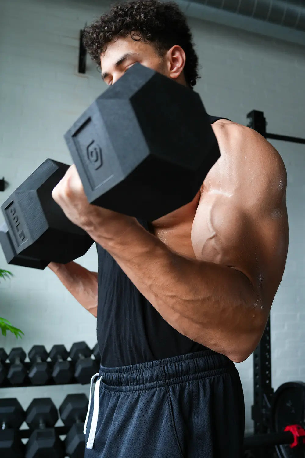 Complete Gym Bundle