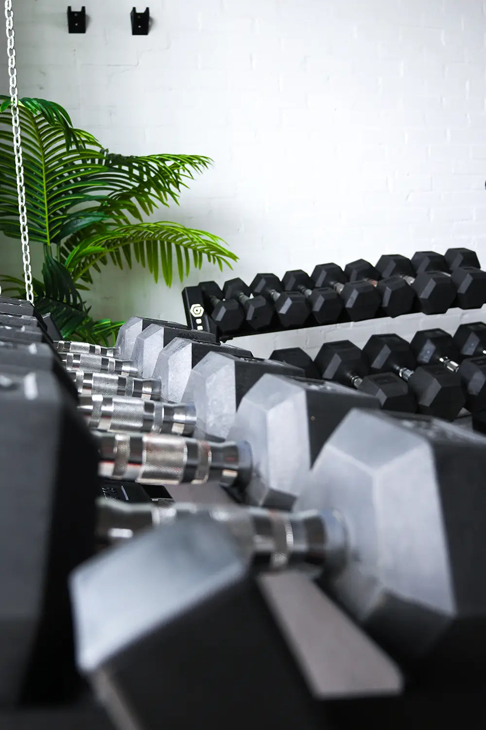 Complete Gym Bundle
