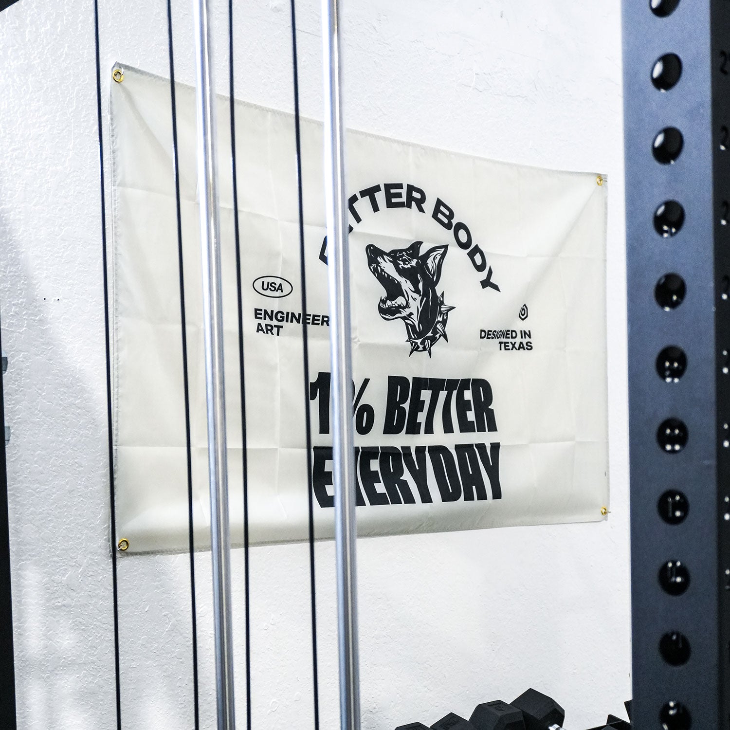 Better Body Gym Banners