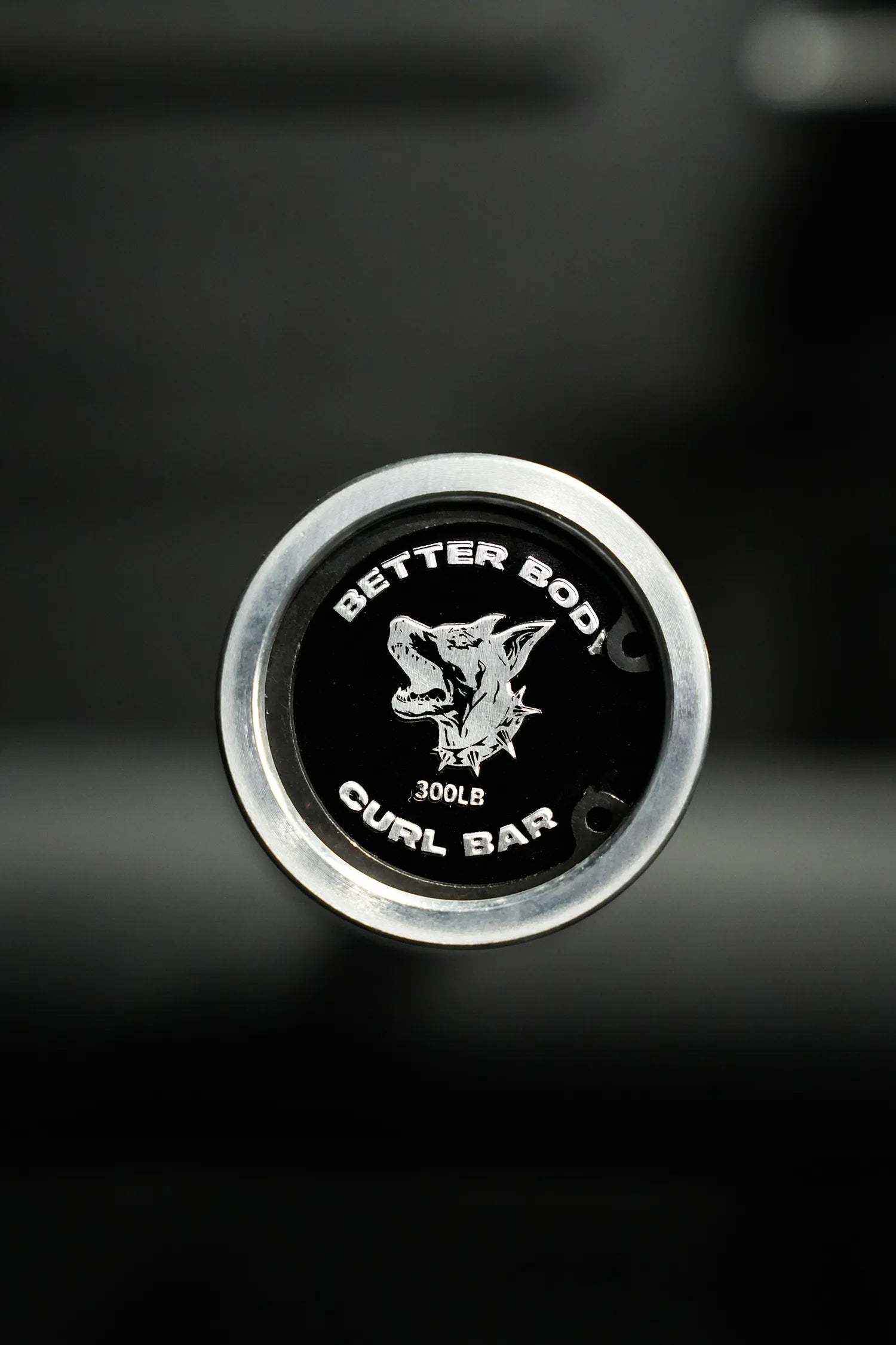 Better Body E-Z Curl Bar