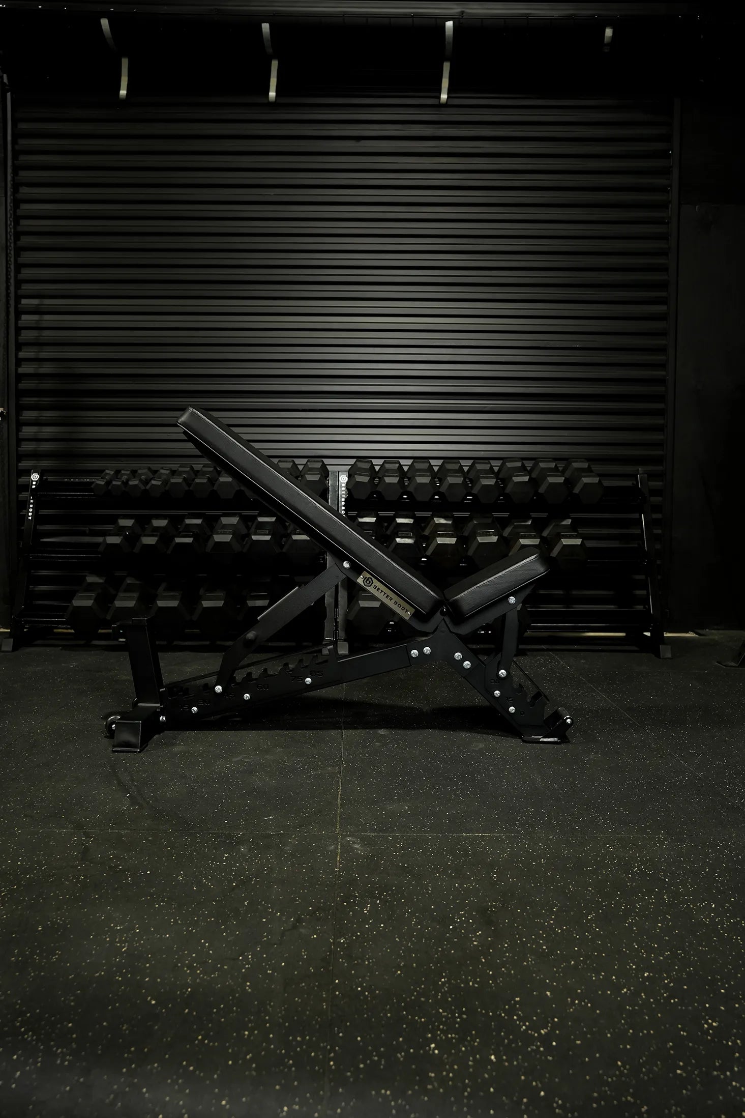 55-100LB Hex Dumbbell Expansion Sets