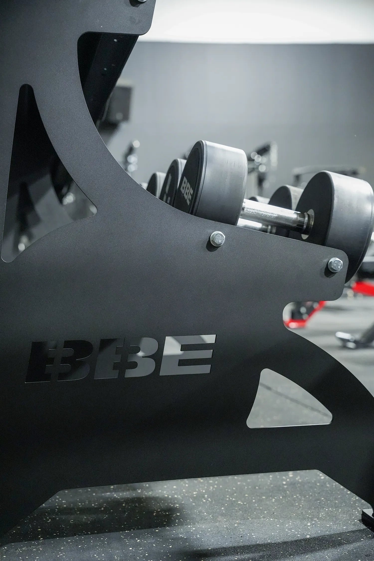 Infinity Dumbbell Rack