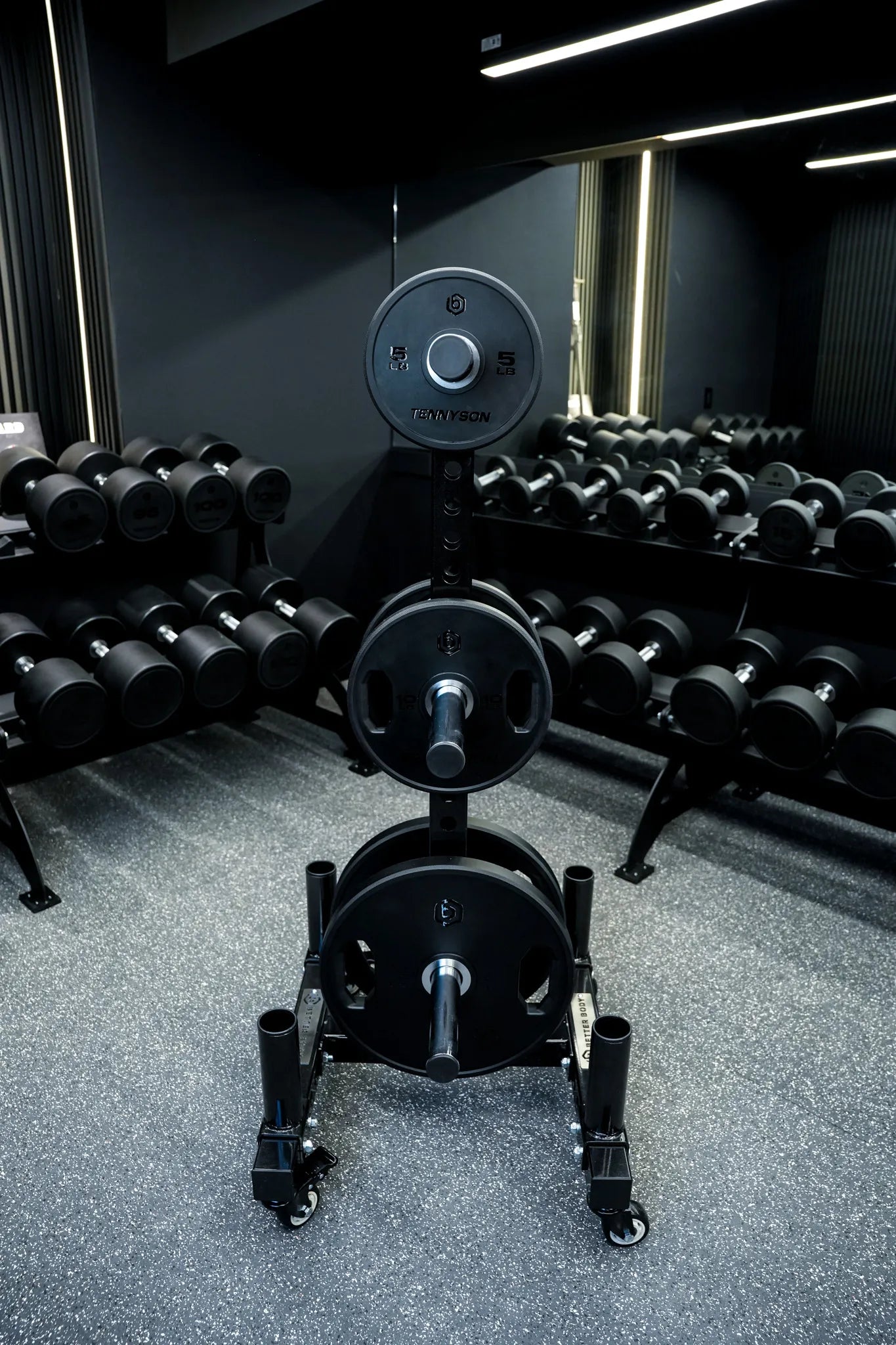 Plate Tree and Barbell Rack 2.0