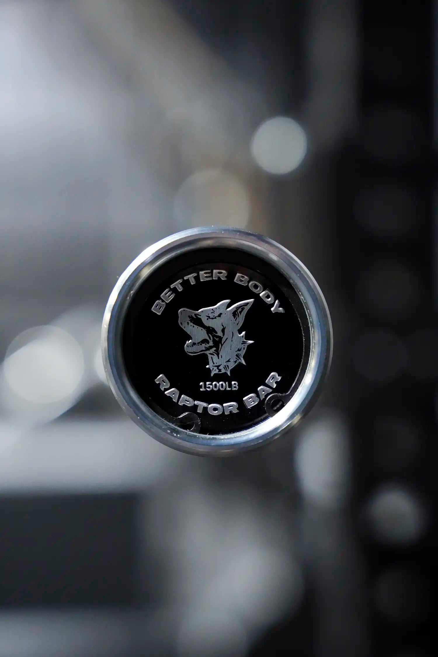 Raptor Powerlift Bar | 20KG