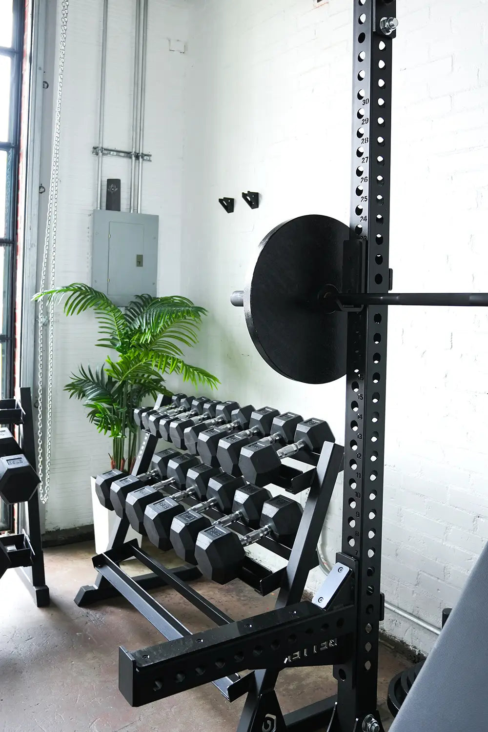 Better Body Hex Dumbbells (5-110lbs)