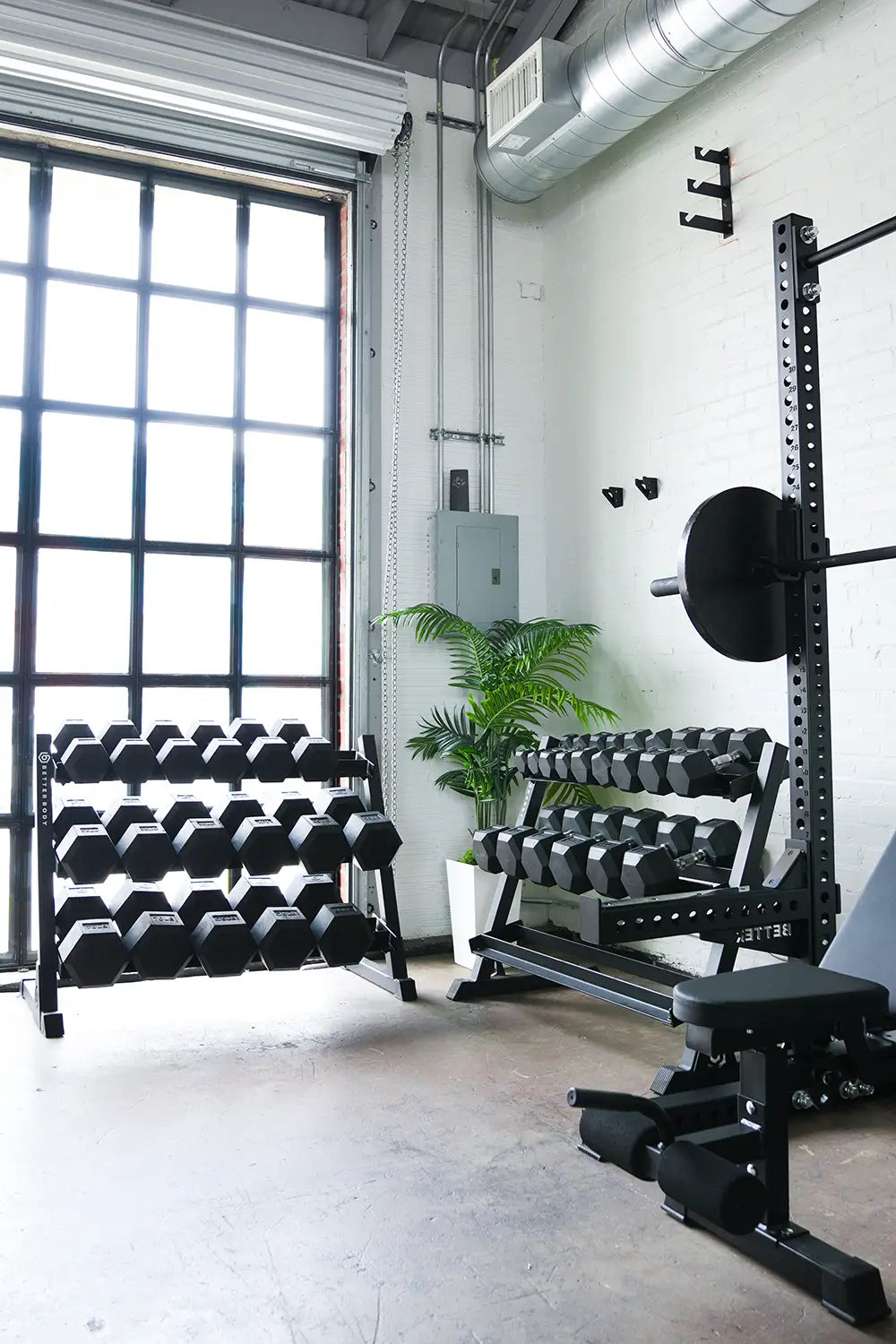 Better Body Hex Dumbbells (5-110lbs)