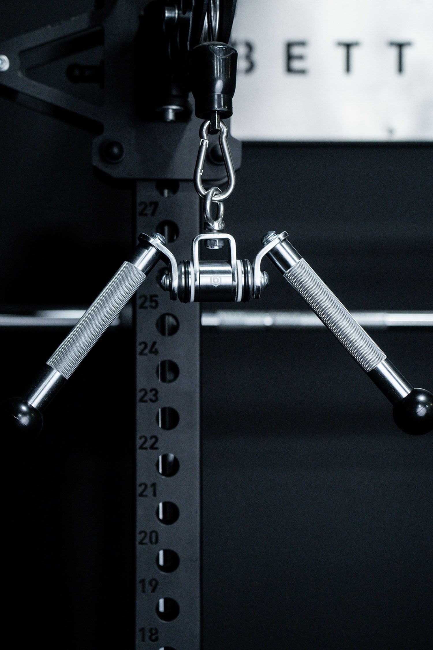 Stainless Tricep Pressdown