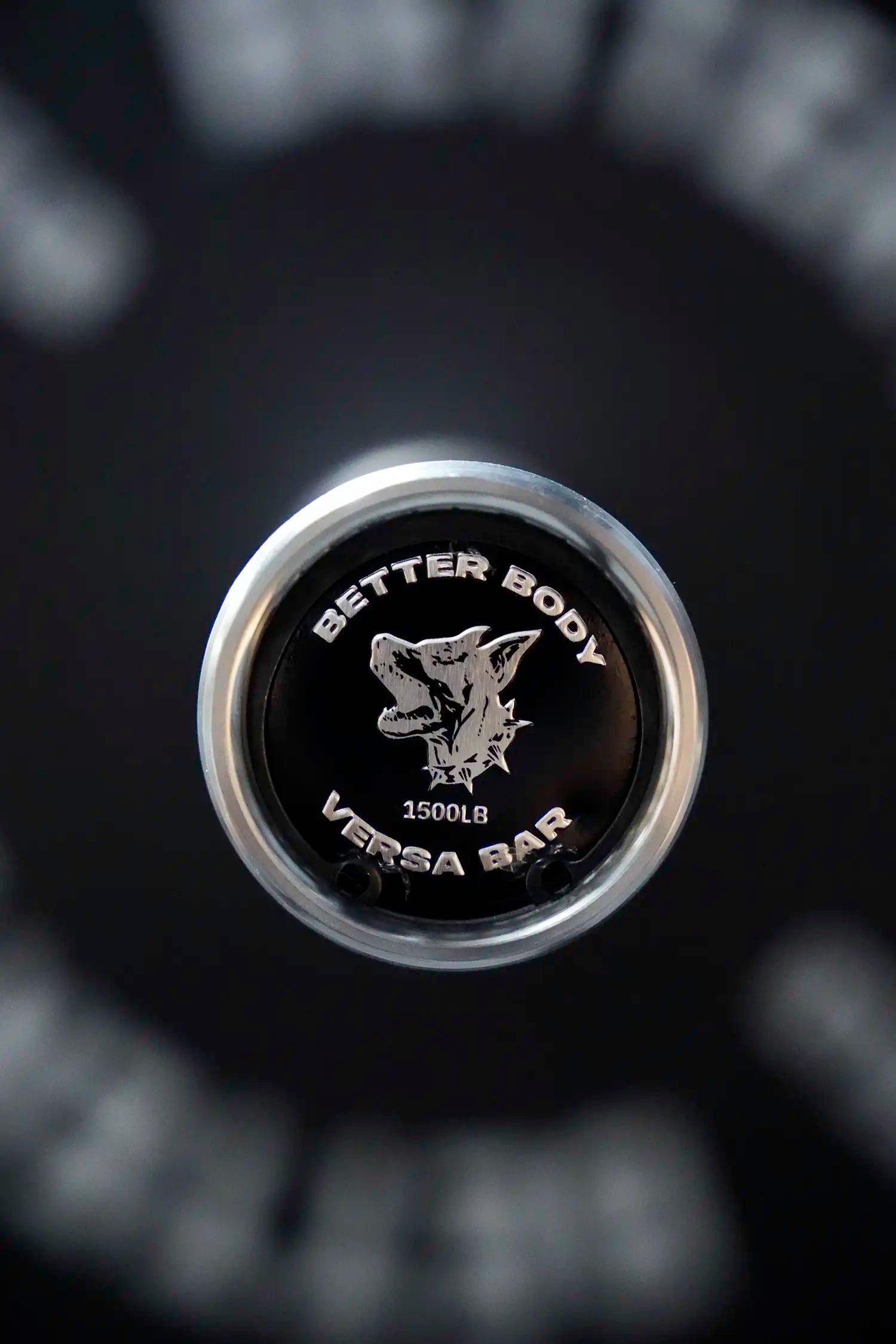 Versa Crossfit Bar | 20KG